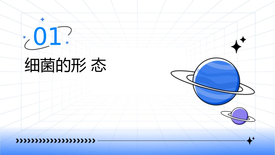 细菌的形态与染色课件_第3页