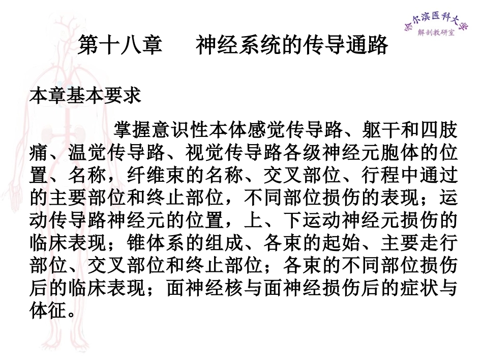 哈医大系解课件_第1页