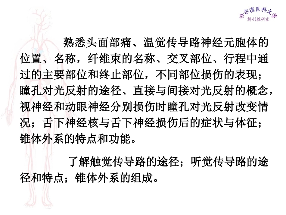 哈医大系解课件_第2页