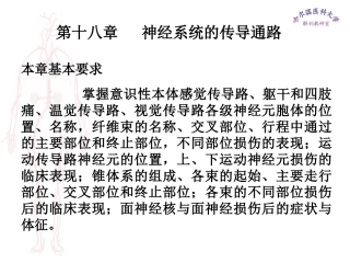 哈医大系解课件