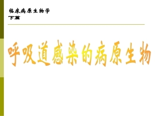 呼吸道感染的病原生物1