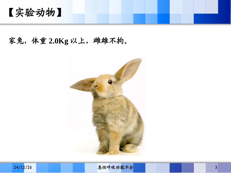 呼吸运动的影响因素与急性呼吸功能不全_第3页