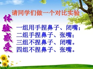 呼吸道对空气的处理-(用)