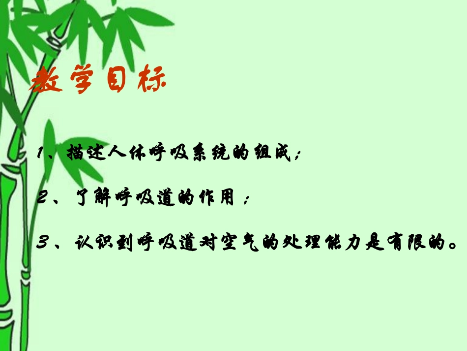 呼吸道对空气的处理_第2页