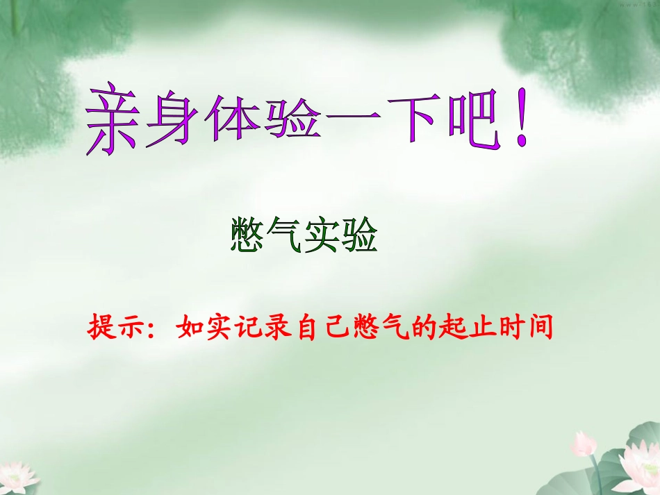 呼吸道对空气的处理_第3页