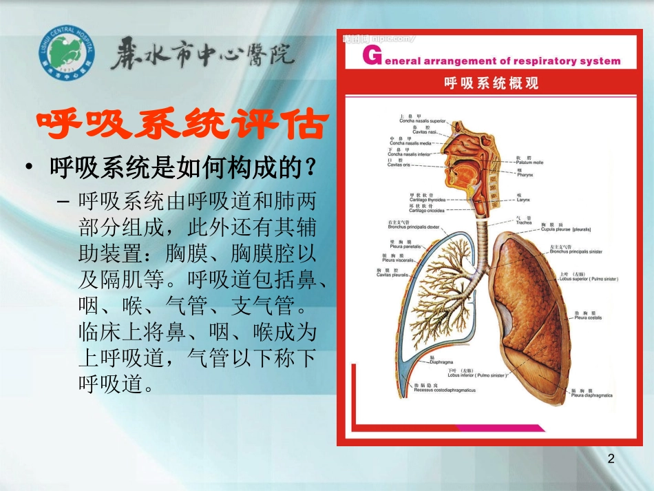 呼吸系统评估(孙德彬2012年5月16日)_第2页