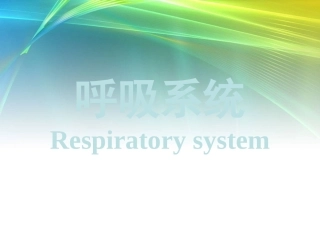 呼吸系统生理及常见病
