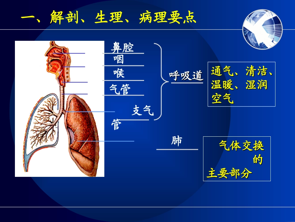 呼吸系统相关知识要点_第2页