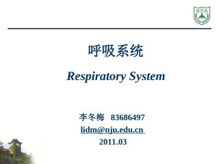 呼吸系统组织学20115
