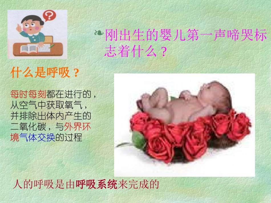 呼吸系统对空气的处理1._第2页