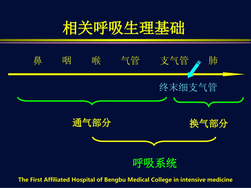 呼吸机相关基础知识_第2页
