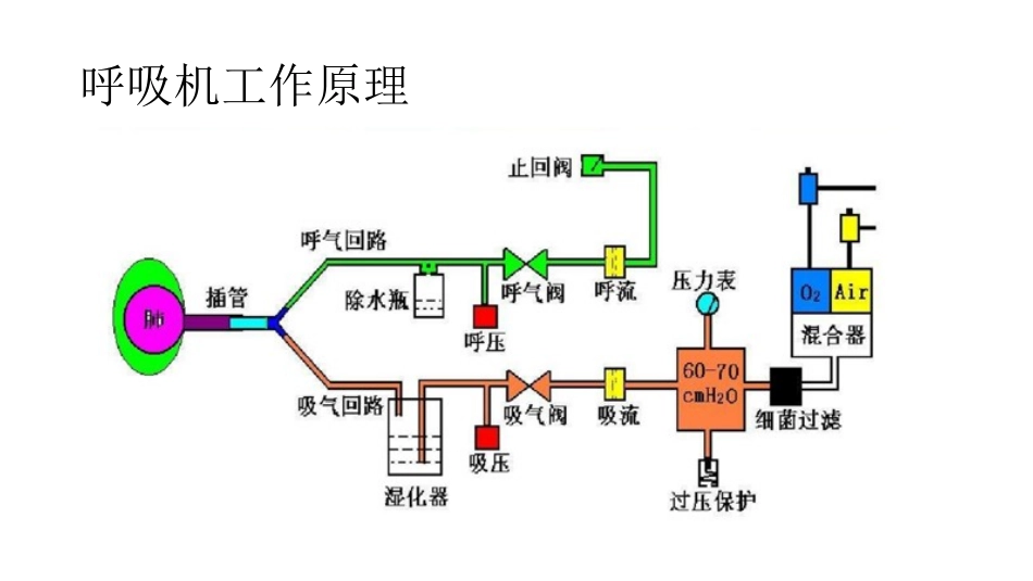 呼吸机应用基础1_第2页