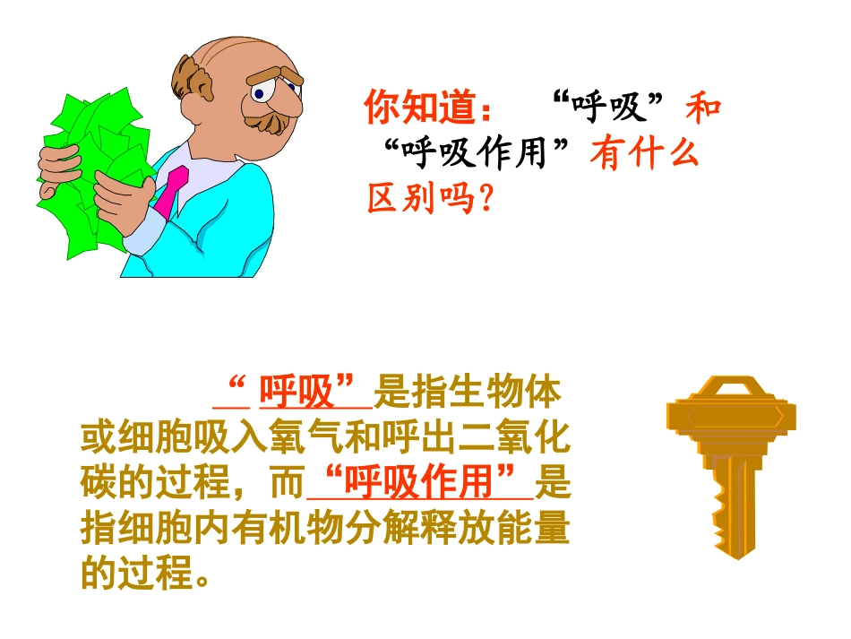 呼吸作用一资料_第2页