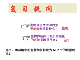 呼吸作用——有氧呼吸(精)