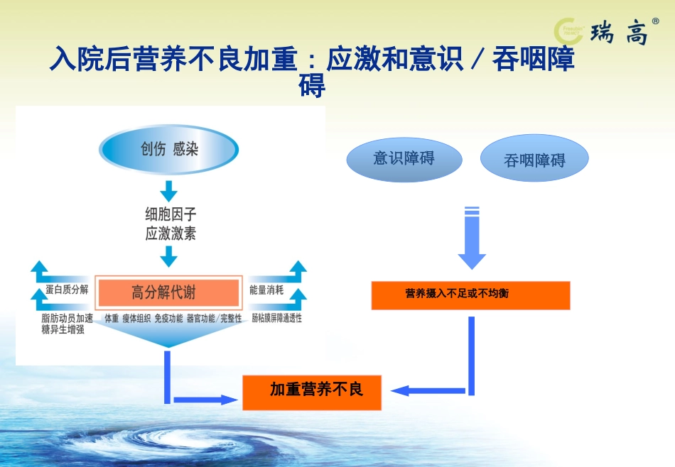 呼吸-瑞高-(2)1_第3页