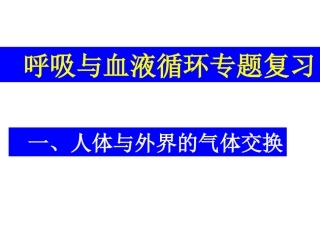 呼吸与血液循环复习
