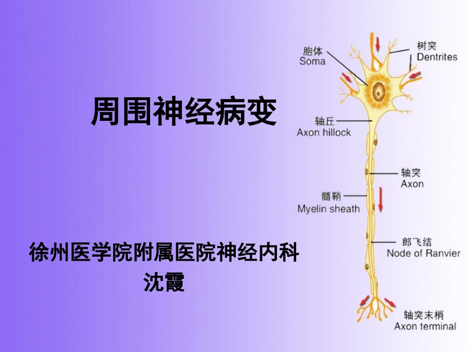 周围神经病变_第2页