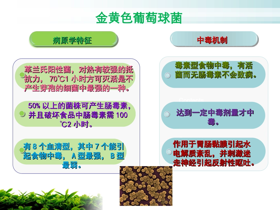 呕吐为主食物中毒流行病学_第3页
