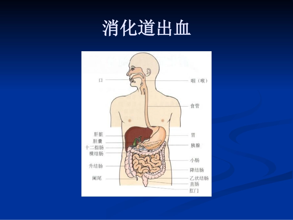 呕血与便血2_第2页