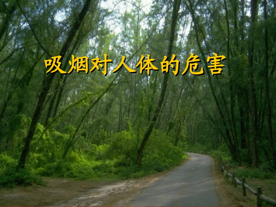 吸烟对人体的危害_第1页