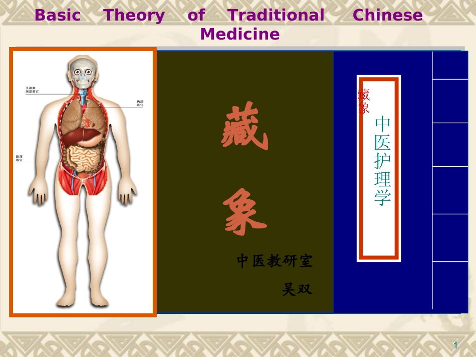 吴双-藏象学说-五脏脾_第1页