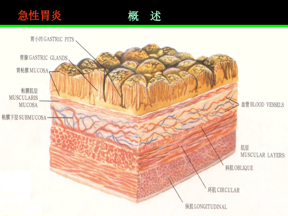 名校内科学8_第3页
