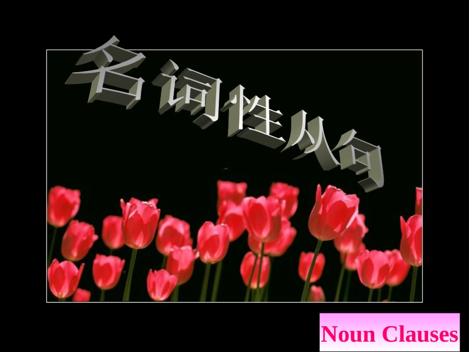 名词从句(最完整,精简版!)_第2页