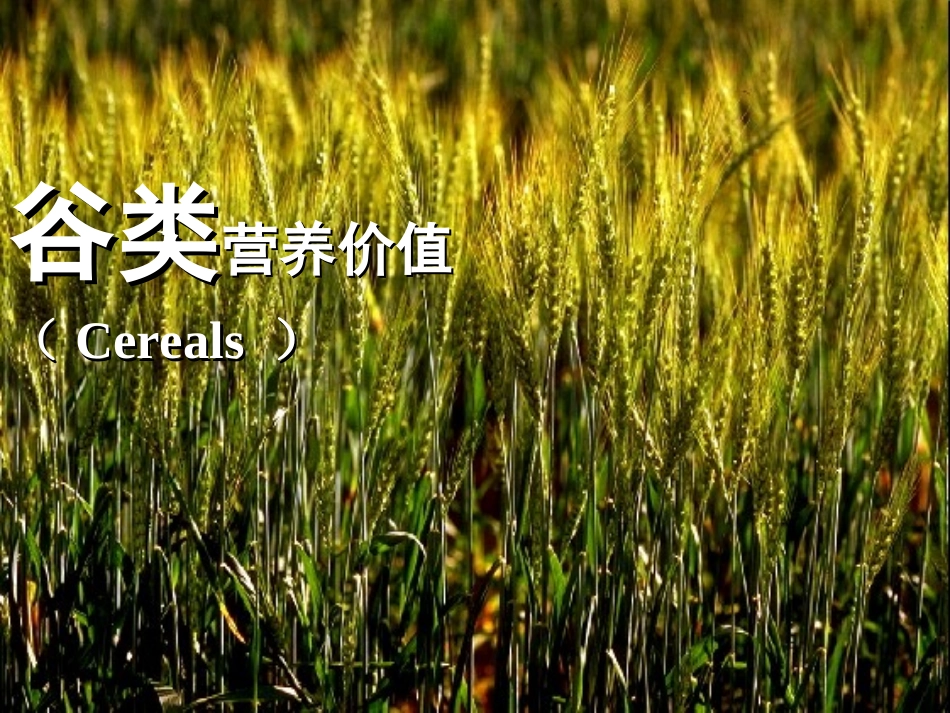 各类食物营养价值剖析_第3页