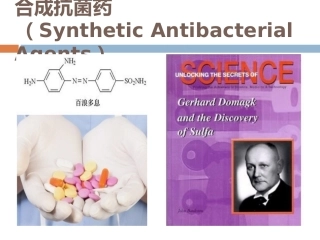 合成抗菌药-1