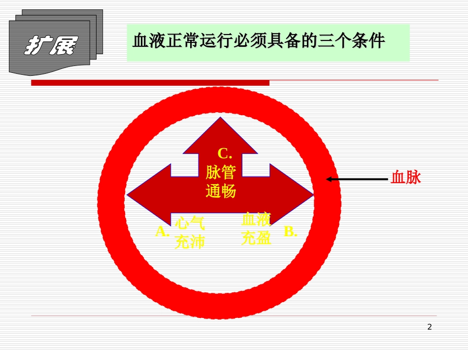 各论第11章——止血药模板_第2页