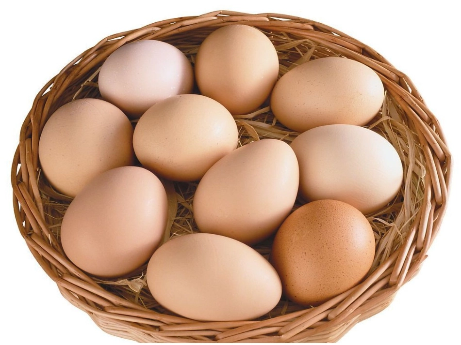 各种各样的蛋宝宝_第3页