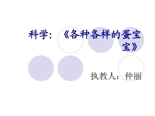 各种各样的蛋宝宝