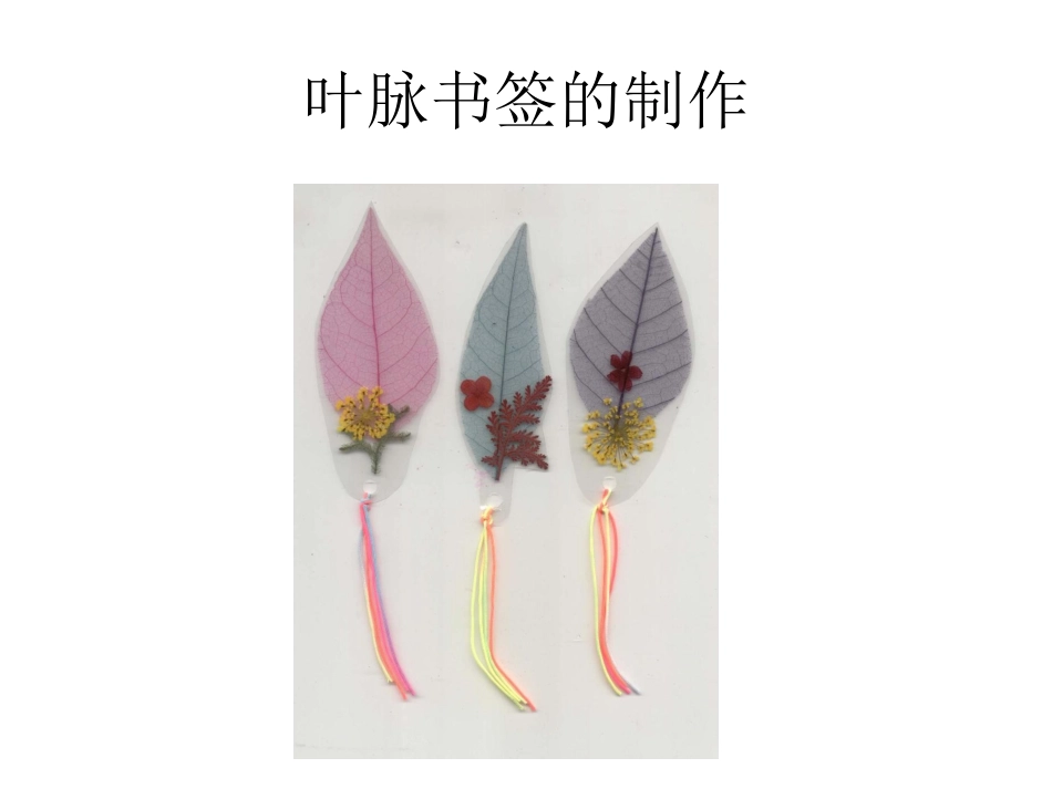 叶脉书签的制作_第1页