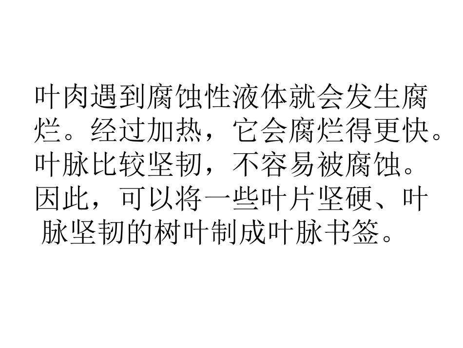 叶脉书签的制作_第2页