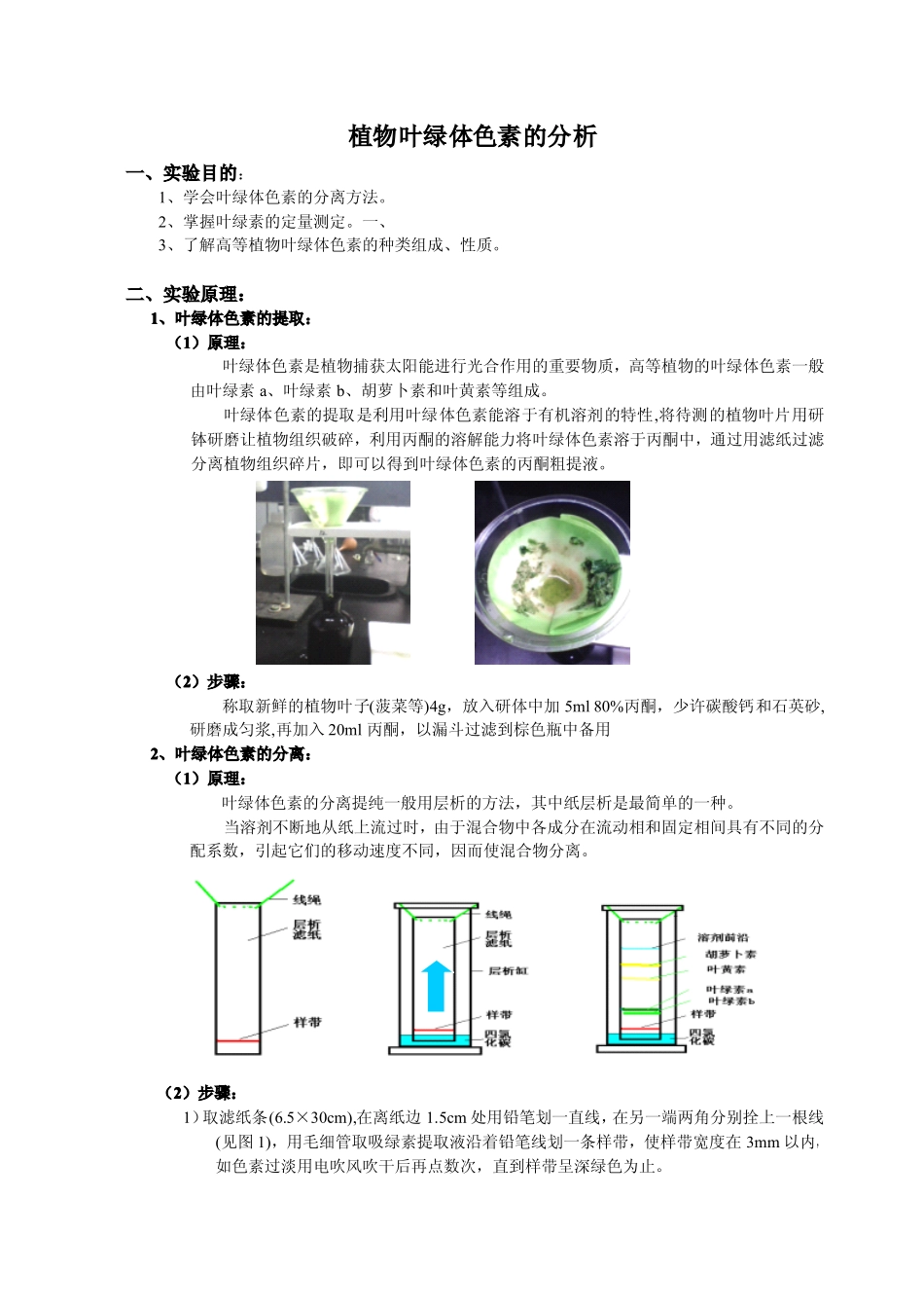 叶绿素的提取与分析测定_第1页