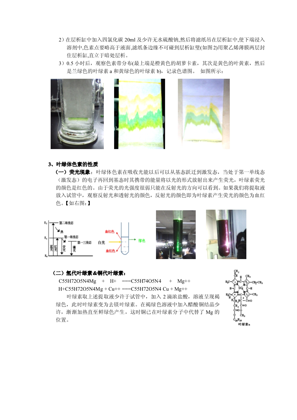 叶绿素的提取与分析测定_第2页