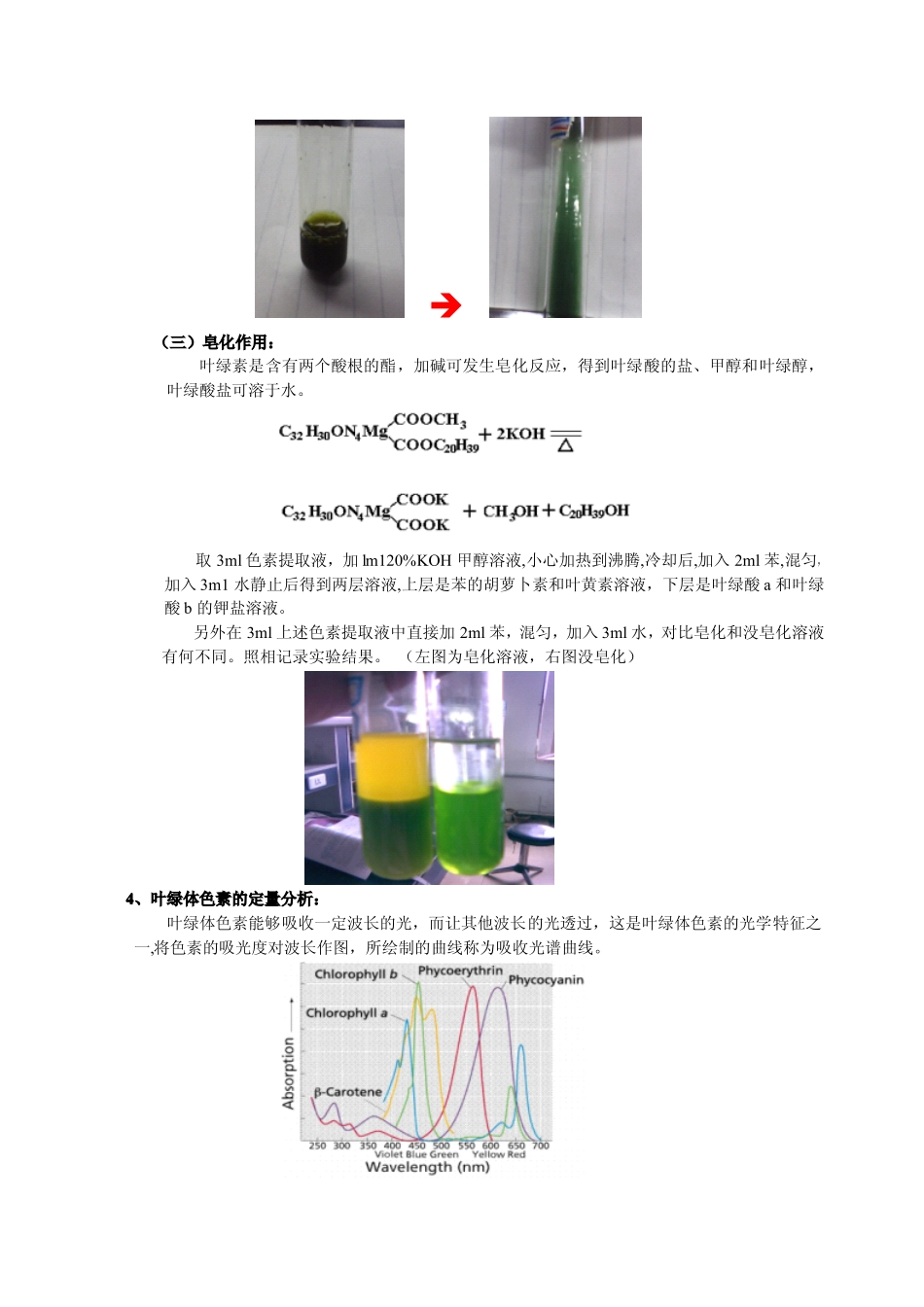 叶绿素的提取与分析测定_第3页