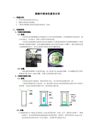 叶绿素的提取与分析测定