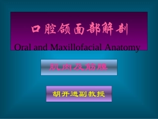 口腔颌面部解剖肌肉及筋膜