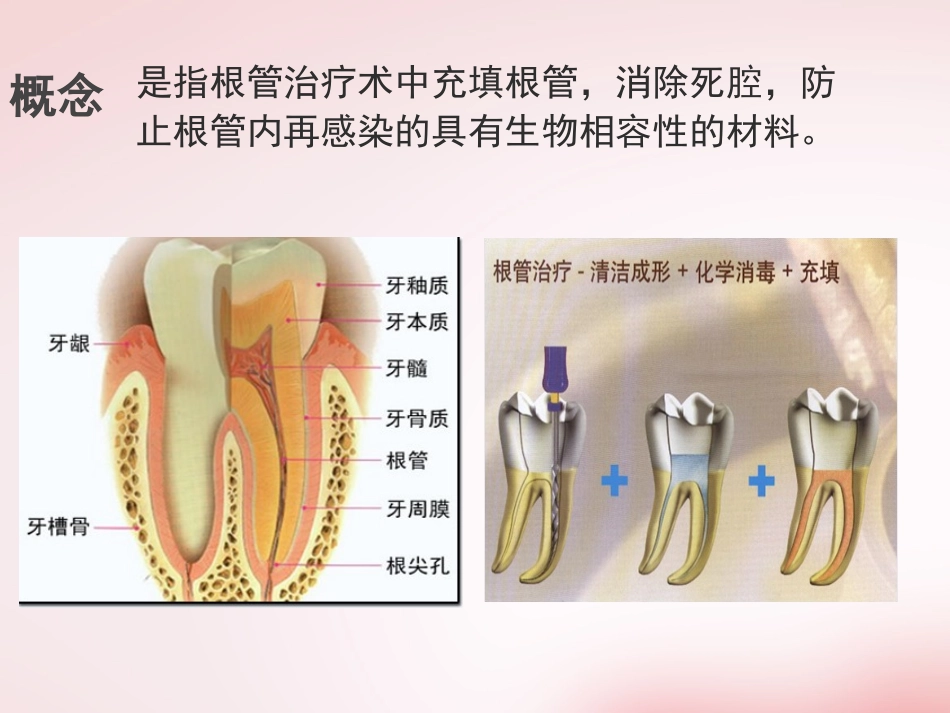 口腔材料PPT_第2页