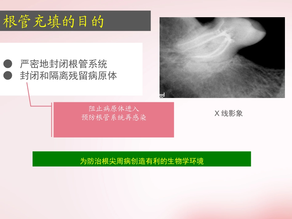 口腔材料PPT_第3页