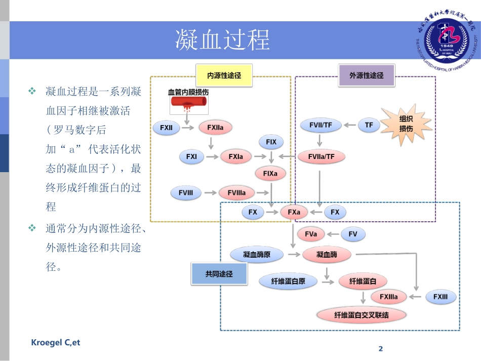 口服抗凝药安全性评价修改稿_第2页