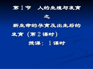 受精卵胚泡胚胎胎儿