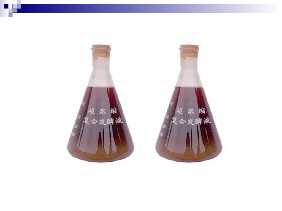 发酵液的分离_第2页