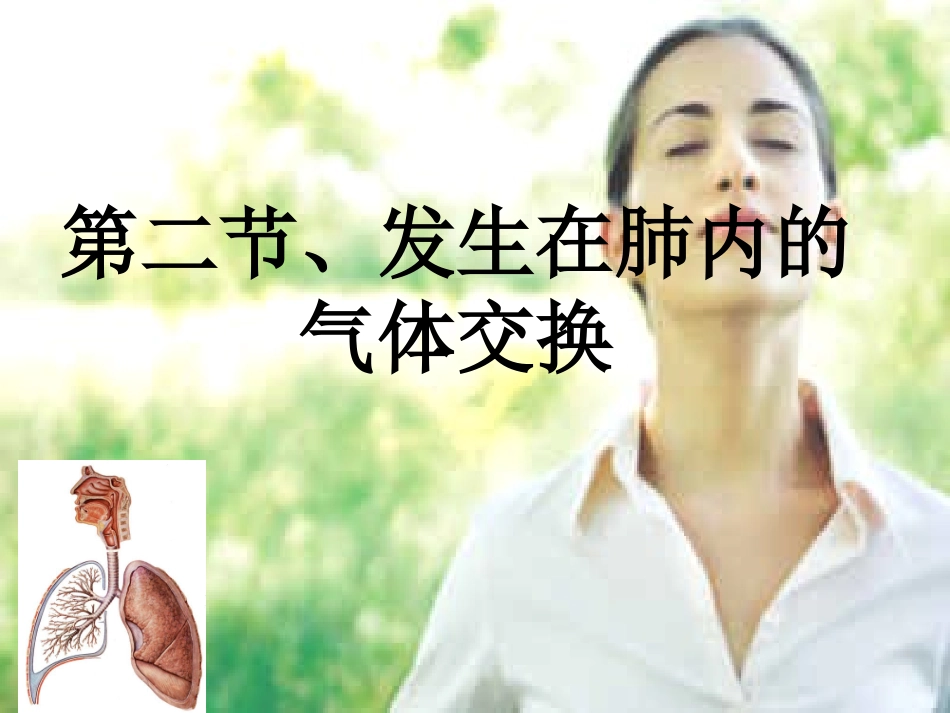 发生在肺里的气体交换动画_第1页