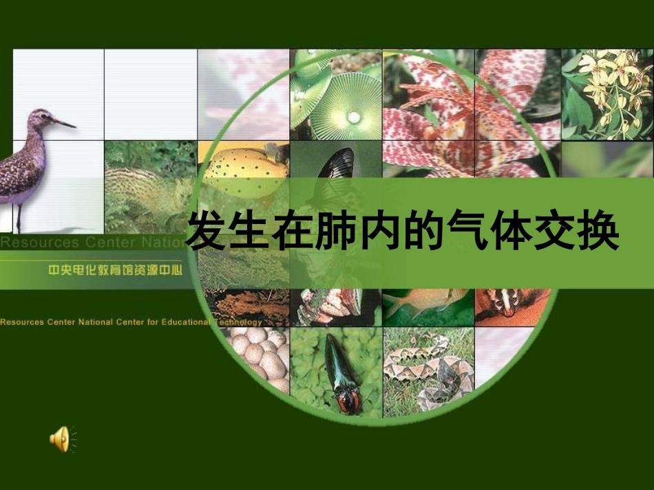 发生在肺里的气体交换_第1页
