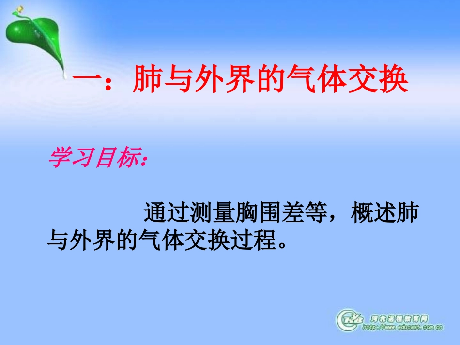 发生在肺里的气体交换_第2页