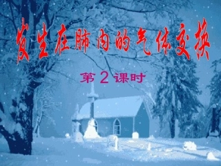 发生在肺内的气体交换3