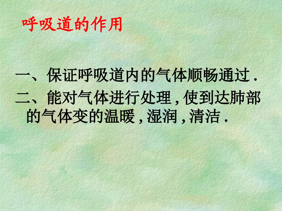 发生在肺内的气体交换AKnKUn_第2页