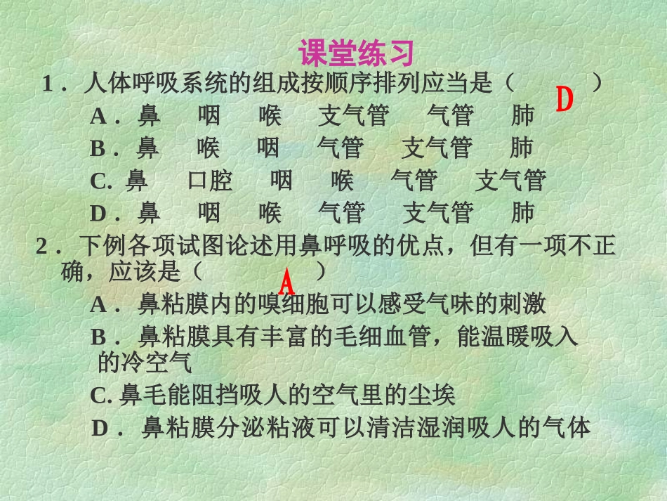 发生在肺内的气体交换AKnKUn_第3页